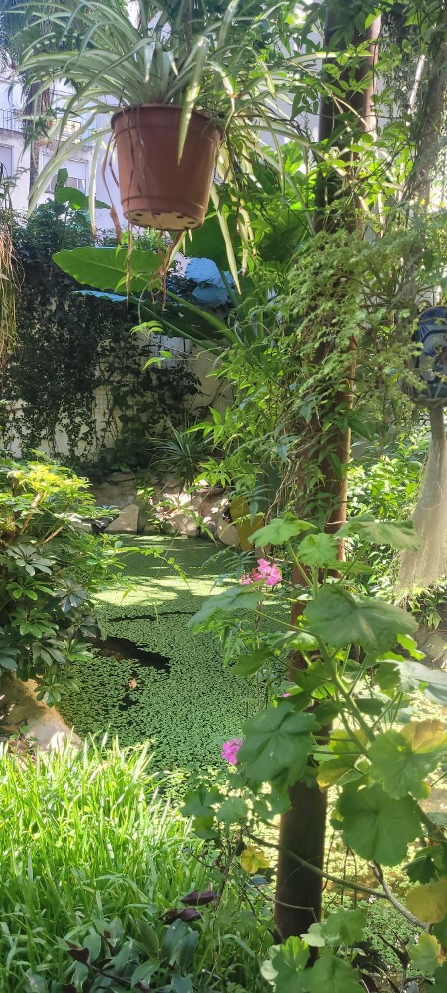 Belgrano Lägenhet Buenos Aires Exteriör bild